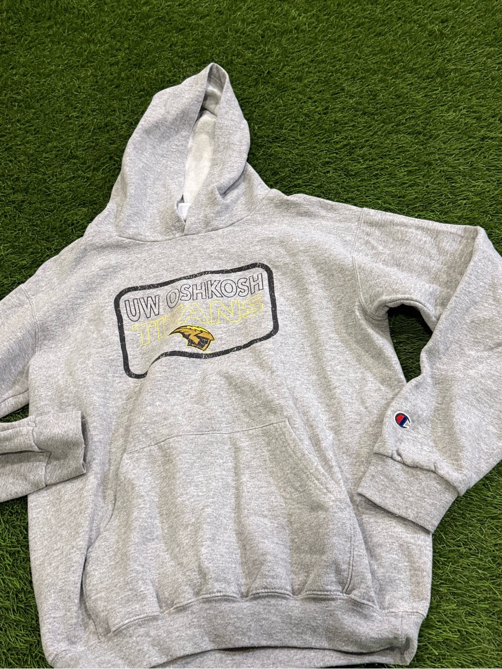 Champion UW Oshkosh Titans Collegiate Hooded Sweatshirt